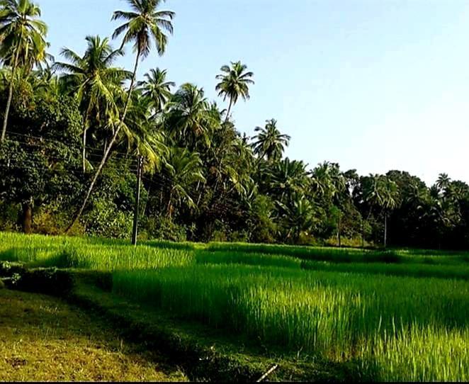 Vivaresidence Homestay Alappuzha Exterior photo